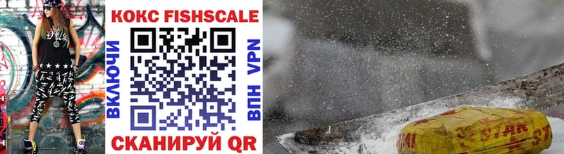 продажа наркотиков Новокузнецк mega вход COCAIN Fish Scale