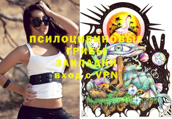 ешки Абинск