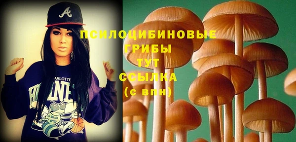 ешки Абинск